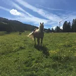 Lejlighed Wilma