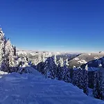 Wilma Lejlighed Schladming