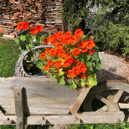 Appartamento Wilma Schladming