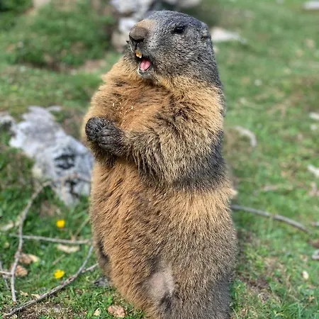 شقة Wilma سخلادميخ