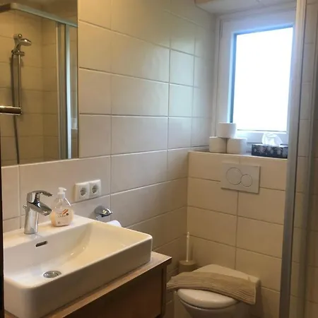 Wilma Apartamento Schladming