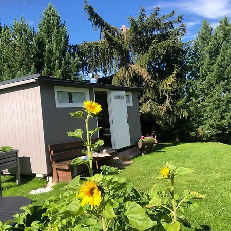 Wilma * سخلادميخ