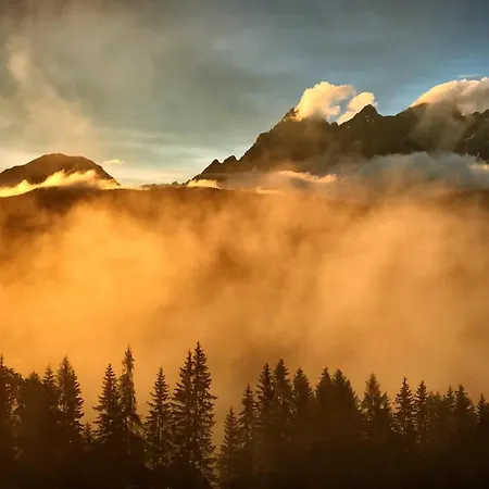 Wilma Шладмінг