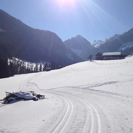 Wilma Apartamento Schladming