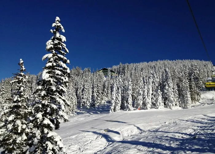 Апартаменти Wilma