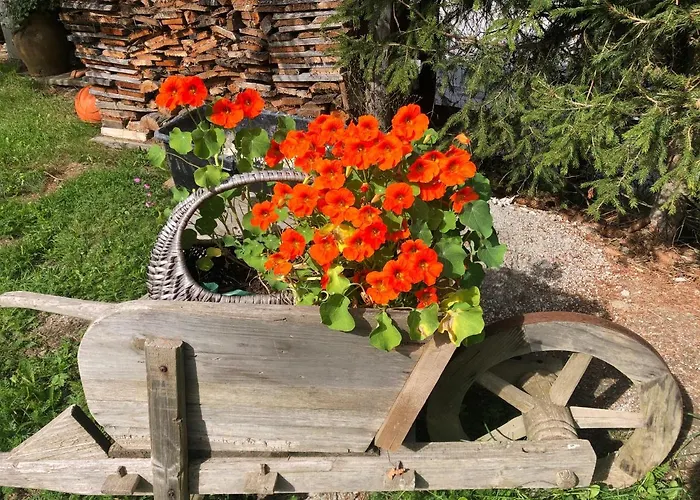 Lägenhet Wilma Schladming