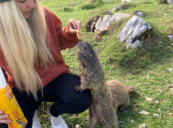 Wilma * Шладмінг