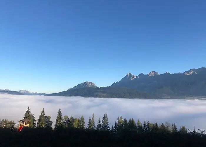 Wilma * Шладмінг