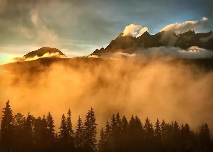 Wilma Шладмінг