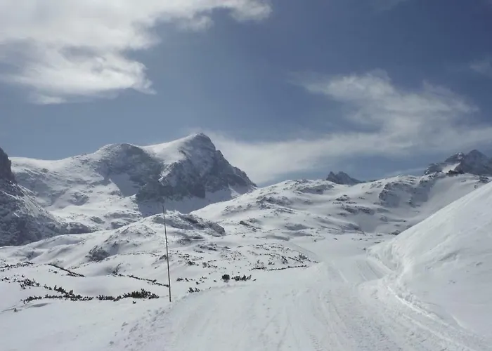 Wilma Апартаменти *